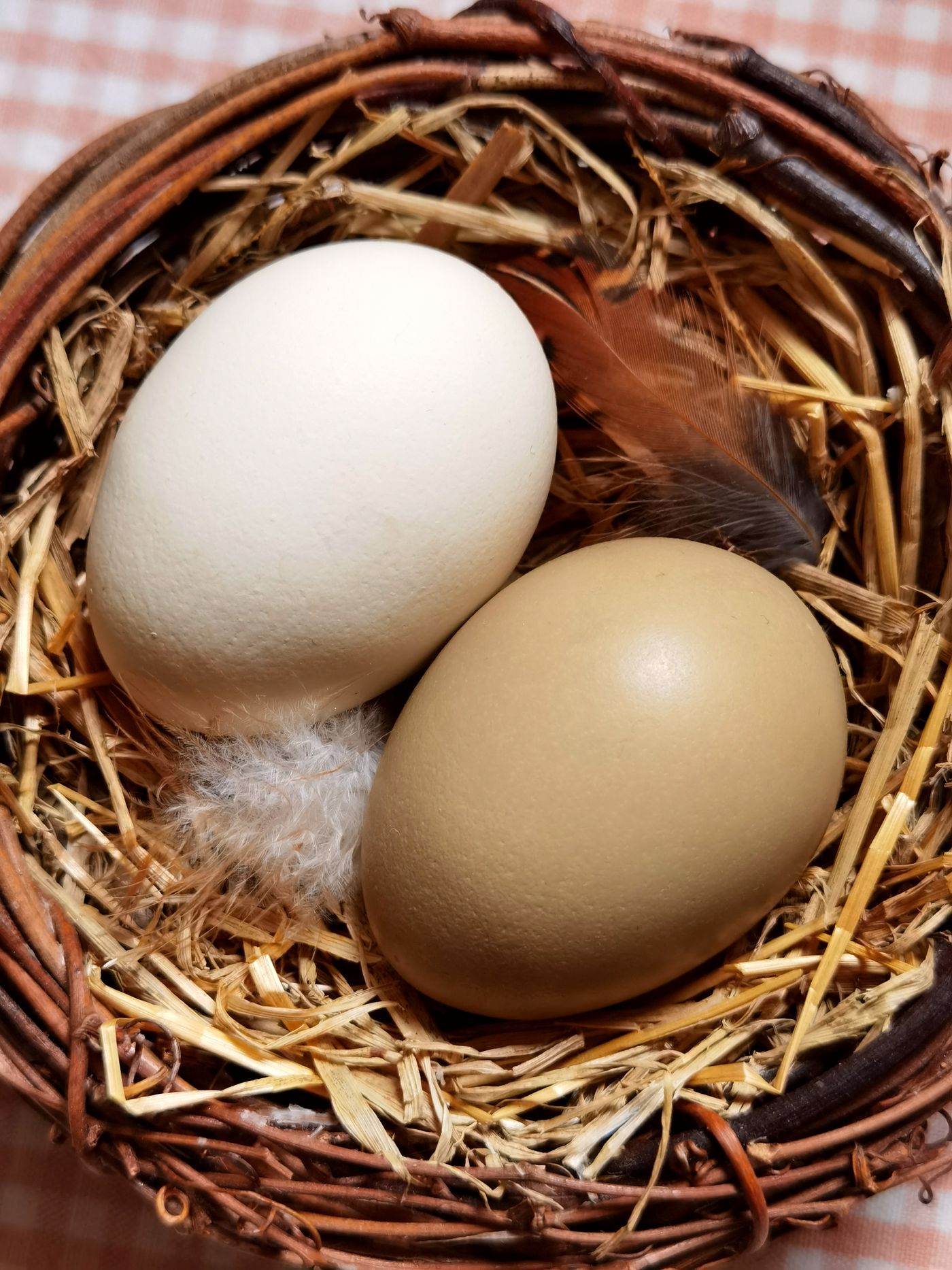 Eier in einem Strohnest