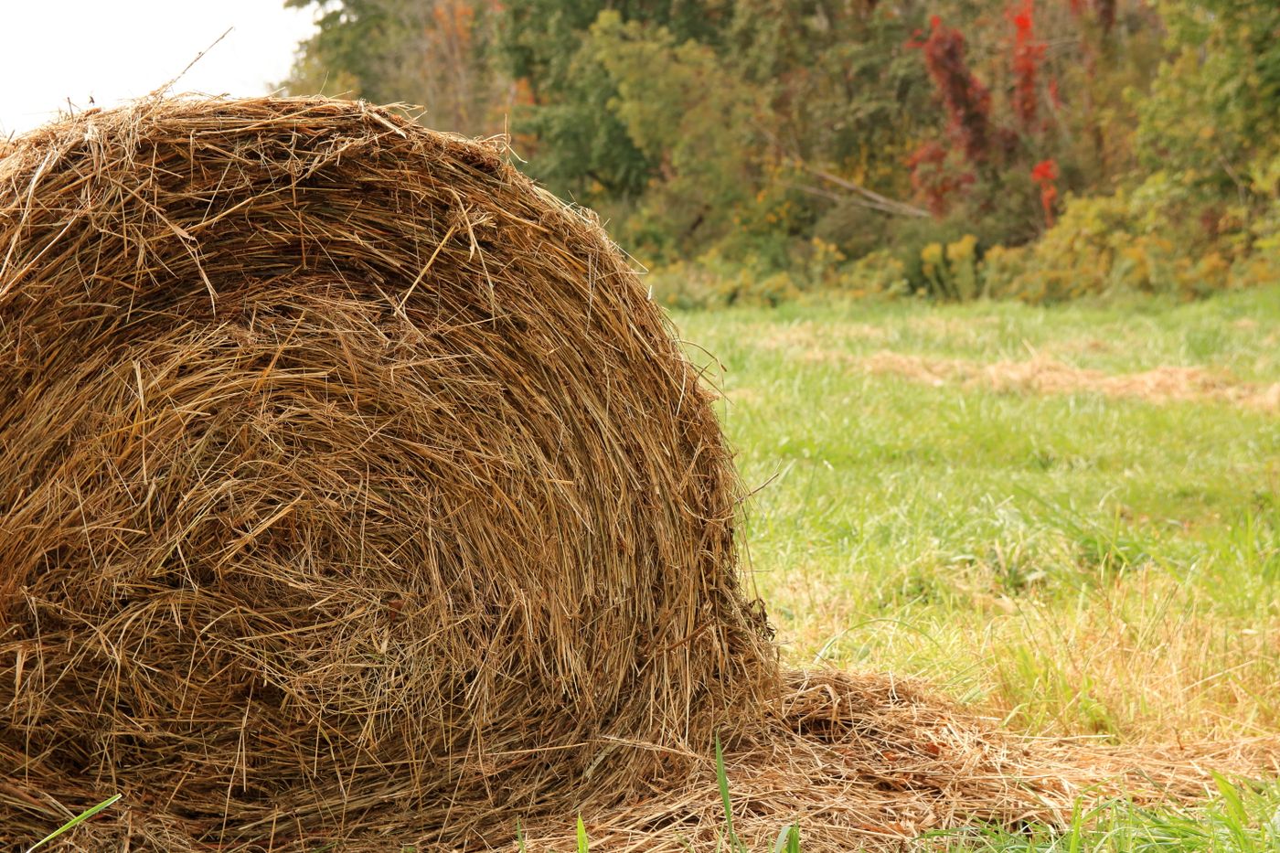 Großer Heuballen auf herbstlichem Feld