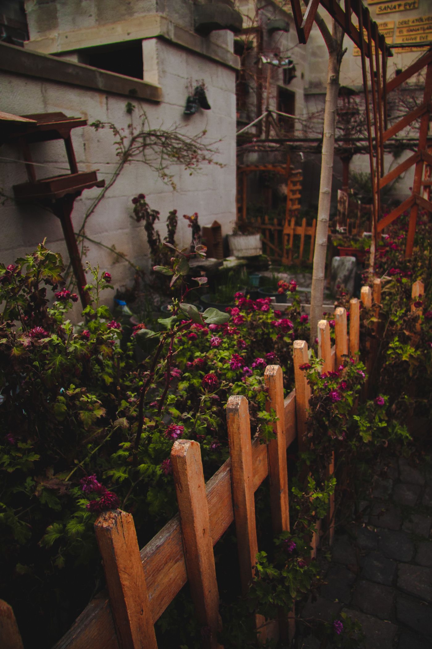 Kleiner Garten mit Zaun in der Stadt