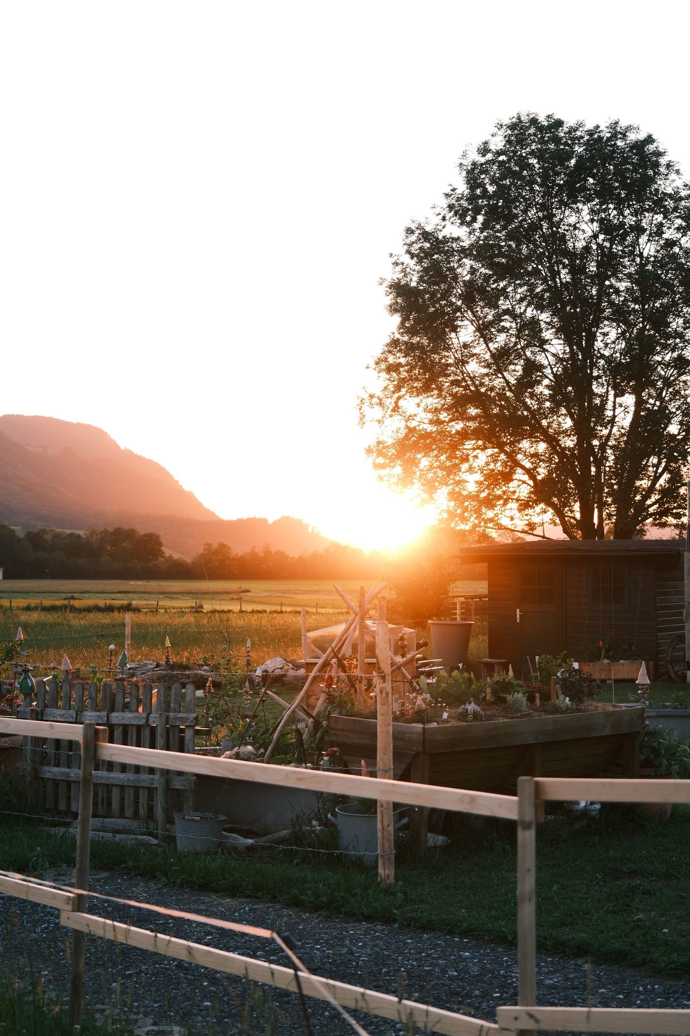 Ruhiger ländlicher Garten bei Sonnenuntergang
